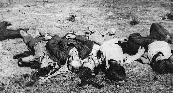 Krvnici su vrlo detaljno fotokamerom zabilježili egzekuciju - od odvođenja zarobljenih partizana na mjesto smaknuća i prizora pred pogubljenje, do plotuna streljačkog stroja, mrtvih tijela partizana, pucanja u one koji su još pokazivali znakove života i odvlačenja leševa u jame