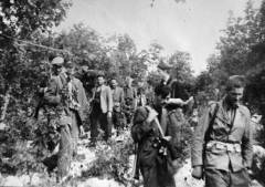 Borci dalmatinskih brigada prelaze preko Dinare