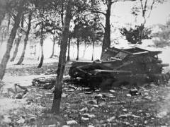 Okupatorovi tenkovi u Gradskom parku